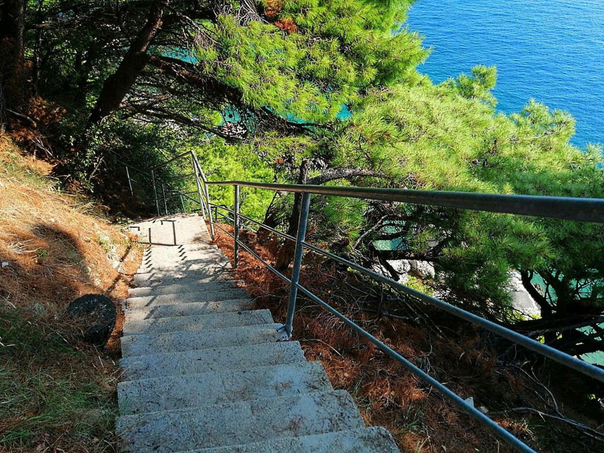 Apartments Villa Jadranka Marusici  Buitenkant foto